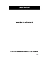 Voltronic Power +Power 30U-120 User Manual preview