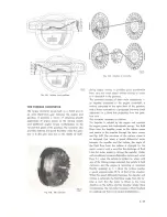 Preview for 149 page of Volvo 164, 1970 Service Manual