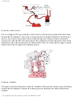 Preview for 172 page of Volvo 1993 960 Owner'S Manual