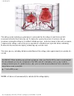 Предварительный просмотр 10 страницы Volvo 1999 S70 Owner'S Manual