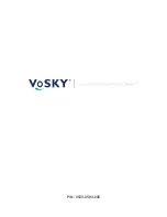 Preview for 117 page of VoSKY Exchange Pro E1 User Manual