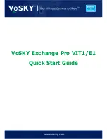 VoSKY Exchange Pro VIT1/E1 Quick Start Manual preview