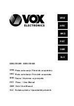 Предварительный просмотр 1 страницы VOX electronics EBG310GIX User Manual