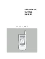 Voxtel V310 Service Manual предпросмотр