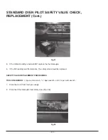 Предварительный просмотр 29 страницы Vulcan-Hart EG160 Service Manual