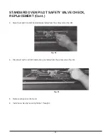 Предварительный просмотр 30 страницы Vulcan-Hart EG160 Service Manual