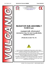 VULCANIC RADEB Instruction Manual предпросмотр