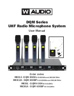W Audio DQM Series User Manual preview