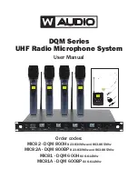 W Audio DQM Series User Manual предпросмотр