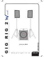 W Audio Gig Rig 2 User Manual preview