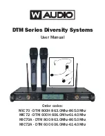 W Audio MIC70-DTM 800H User Manual preview