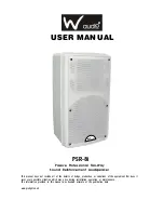 W Audio PSR-8i User Manual preview