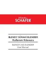 W.Besteckhaus SCHAFER BLENDY User Manuel preview