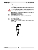 Предварительный просмотр 30 страницы Wacker Neuson GV 7000A Operator'S Manual