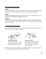 Preview for 15 page of Wacom PL-300 User Manual