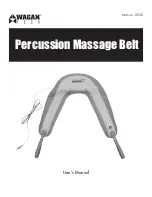 Wagen Tech Percussion Massage Belt User Manual предпросмотр