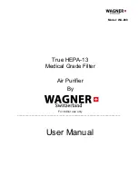 WAGNER WA-888 User Manual preview