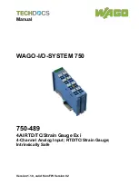 WAGO 750-489 Manual preview