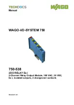 WAGO 750-538 Manual preview