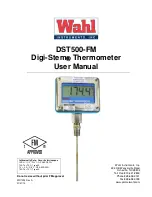 Wahl DST500-FM User Manual preview