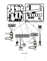 Предварительный просмотр 13 страницы Walchem WDB400 Series Instruction Manual