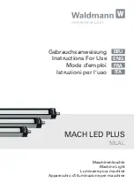 Waldmann 113161000-00660033 Instructions For Use Manual preview