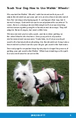 Preview for 5 page of Walkin’ Pets Wheels Manual