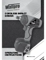 Wallpro CSG-4000L Operating Instructions Manual preview