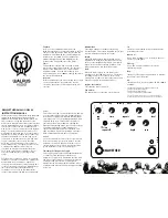 Предварительный просмотр 1 страницы Walrus Audio Bellwether Instruction Manual