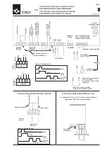 Предварительный просмотр 11 страницы WAMGROUP Torex ILS Manual