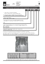 Предварительный просмотр 11 страницы WAMGROUP VCP R03 Series Manual