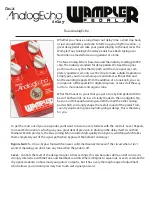 Wampler Faux AnalogEcho Manual preview