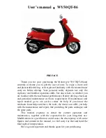 WangYe WY50QT-86 User Manual preview