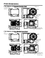 Preview for 3 page of Wanner Engineering P100 Installation & Service Manual