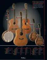 Preview for 3 page of Washburn D10Q Catalog