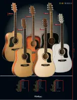 Preview for 11 page of Washburn D10Q Catalog