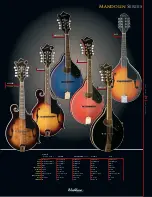 Preview for 19 page of Washburn D10Q Catalog