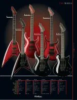 Preview for 27 page of Washburn D10Q Catalog