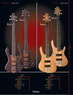 Preview for 45 page of Washburn D10Q Catalog