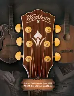Washburn WD20S Brochure preview