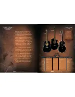 Preview for 2 page of Washburn WD20S Brochure