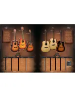 Preview for 3 page of Washburn WD20S Brochure