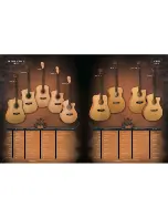 Preview for 5 page of Washburn WD20S Brochure