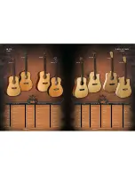 Preview for 6 page of Washburn WD20S Brochure