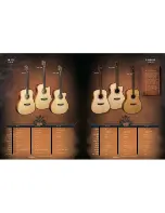 Preview for 7 page of Washburn WD20S Brochure