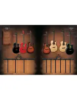 Preview for 9 page of Washburn WD20S Brochure