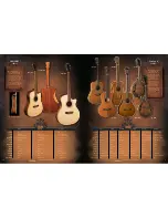 Preview for 10 page of Washburn WD20S Brochure