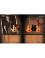 Preview for 13 page of Washburn WD20S Brochure