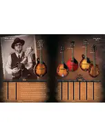 Preview for 14 page of Washburn WD20S Brochure