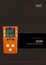 WatchGas QGM User Manual preview